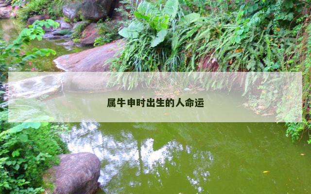 属牛申时出生的人命运