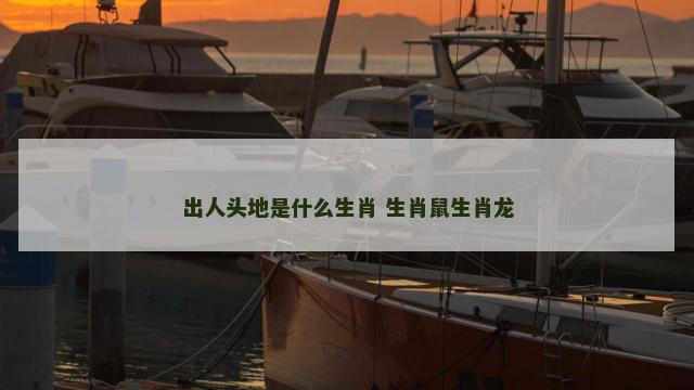 出人头地是什么生肖 生肖鼠生肖龙
