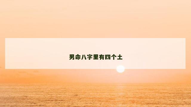 男命八字里有四个土