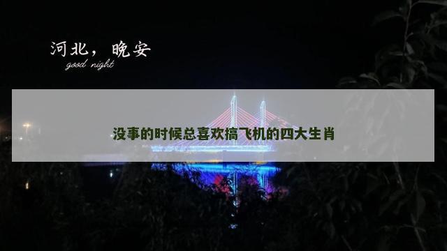 没事的时候总喜欢搞飞机的四大生肖