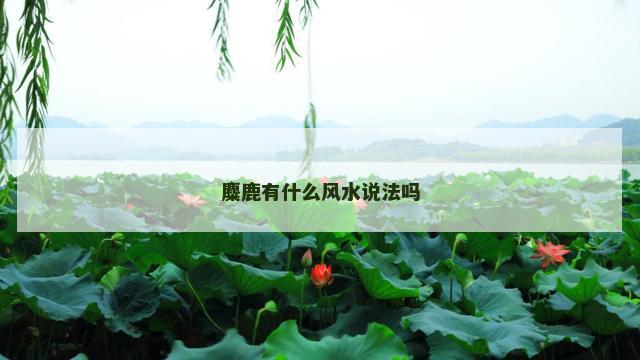 麋鹿有什么风水说法吗