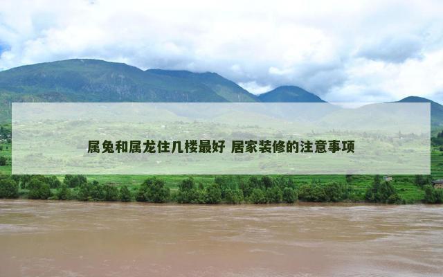 属兔和属龙住几楼最好 居家装修的注意事项