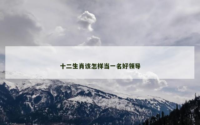 十二生肖该怎样当一名好领导