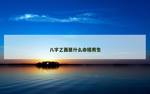 八字乙酉属什么命格男生