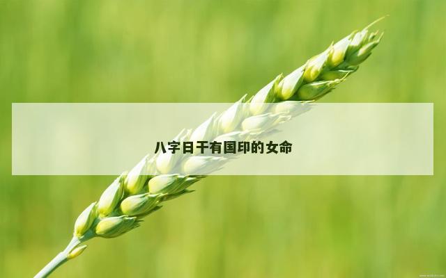 八字日干有国印的女命