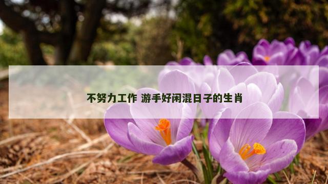 不努力工作 游手好闲混日子的生肖