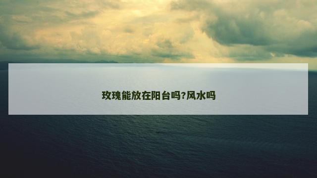 玫瑰能放在阳台吗?风水吗