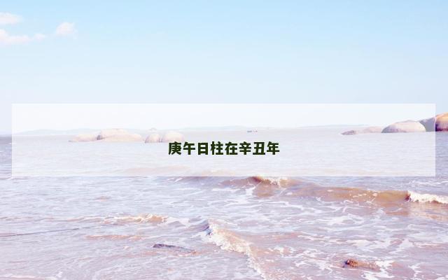 庚午日柱在辛丑年