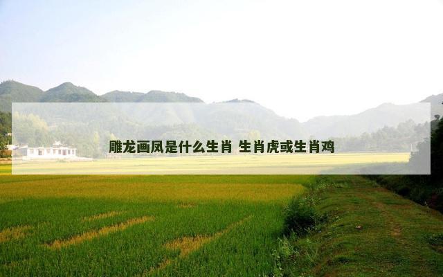 雕龙画凤是什么生肖 生肖虎或生肖鸡