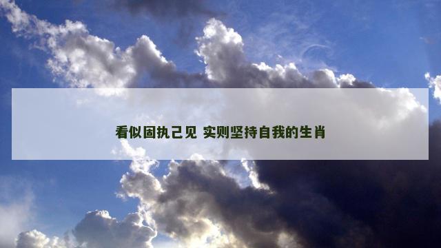看似固执己见 实则坚持自我的生肖