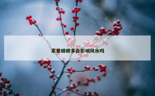 家里蟑螂多会影响风水吗