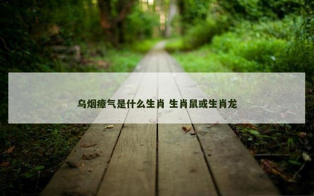 乌烟瘴气是什么生肖 生肖鼠或生肖龙