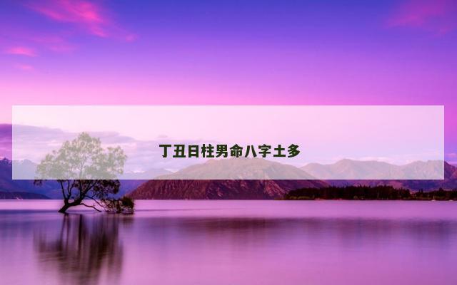 丁丑日柱男命八字土多