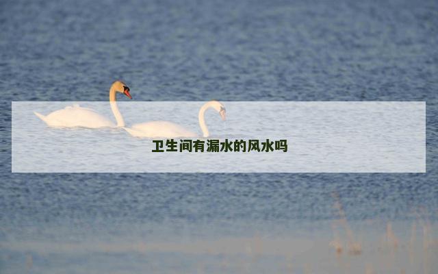 卫生间有漏水的风水吗