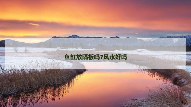鱼缸放隔板吗?风水好吗