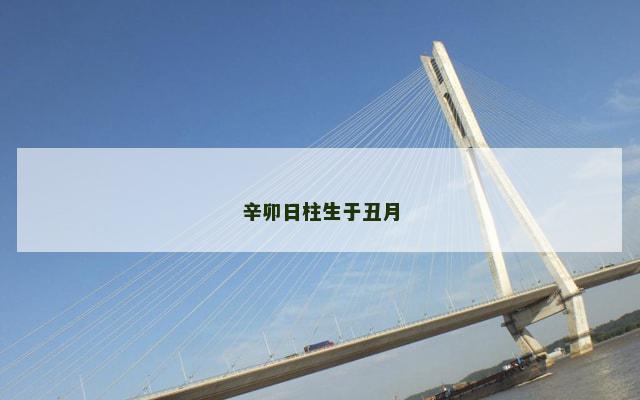 辛卯日柱生于丑月
