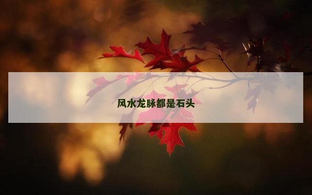 风水龙脉都是石头