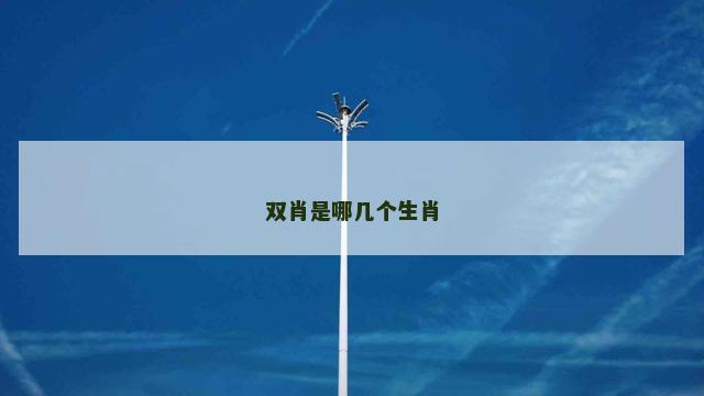 双肖是哪几个生肖