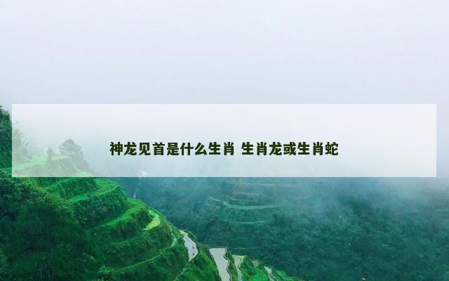神龙见首是什么生肖 生肖龙或生肖蛇