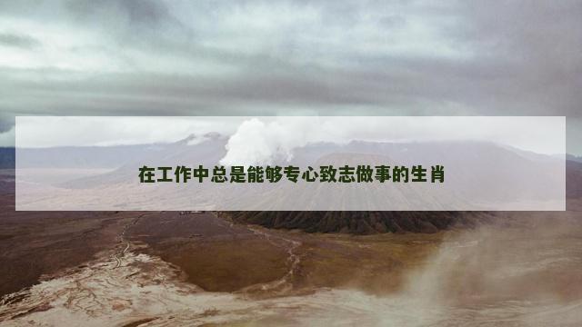 在工作中总是能够专心致志做事的生肖