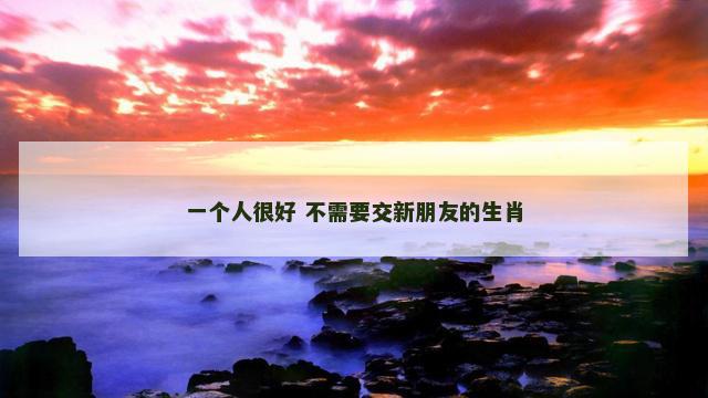 一个人很好 不需要交新朋友的生肖