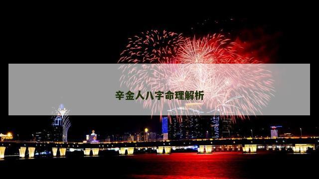 辛金人八字命理解析