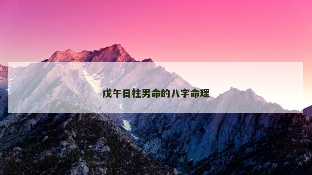 戊午日柱男命的八字命理