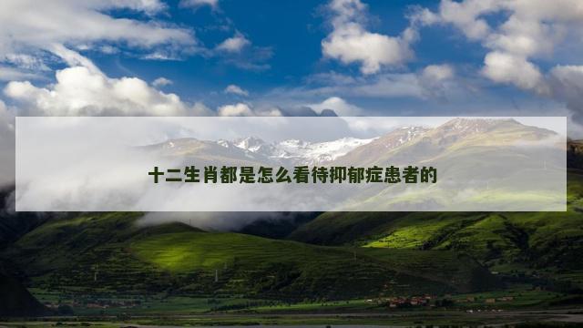 十二生肖都是怎么看待抑郁症患者的