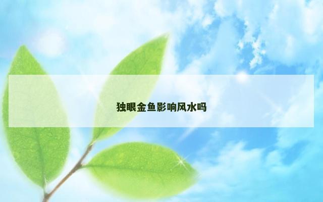 独眼金鱼影响风水吗
