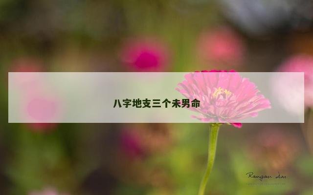 八字地支三个未男命