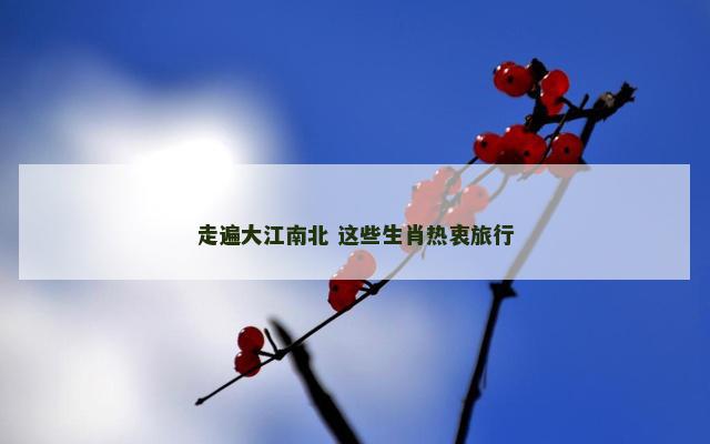 走遍大江南北 这些生肖热衷旅行