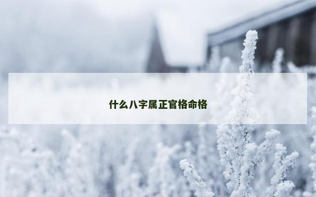 什么八字属正官格命格