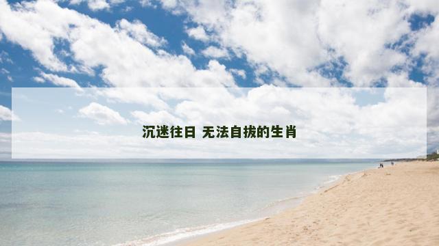 沉迷往日 无法自拔的生肖
