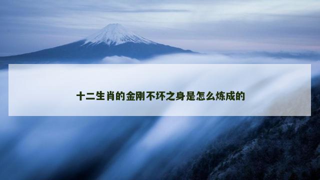 十二生肖的金刚不坏之身是怎么炼成的