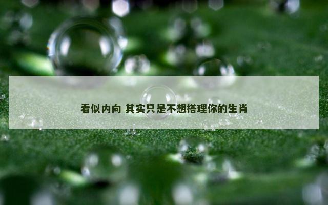 看似内向 其实只是不想搭理你的生肖