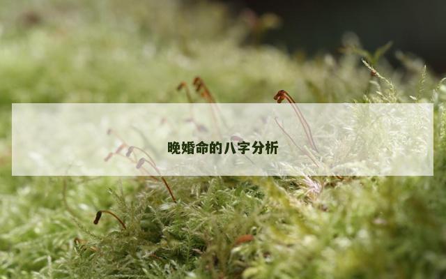 晚婚命的八字分析