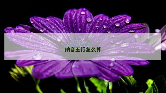 纳音五行怎么算