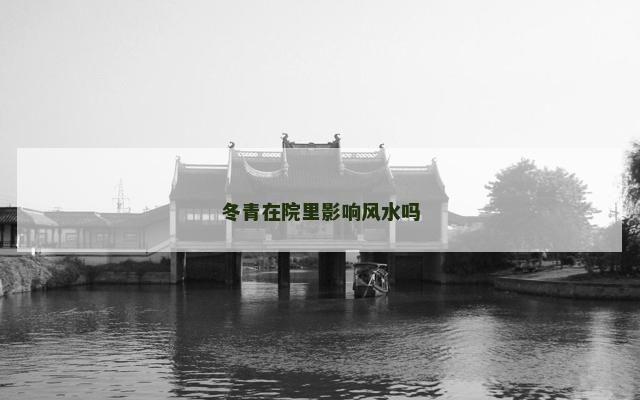 冬青在院里影响风水吗