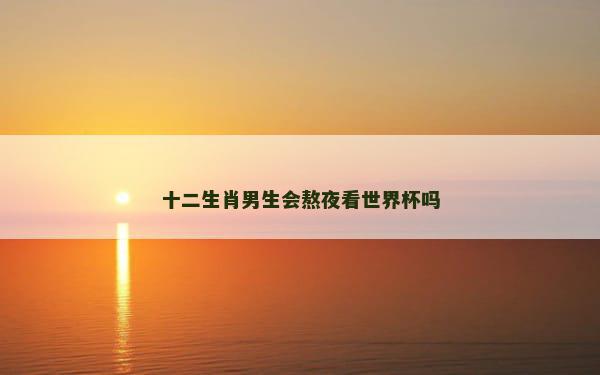 十二生肖男生会熬夜看世界杯吗