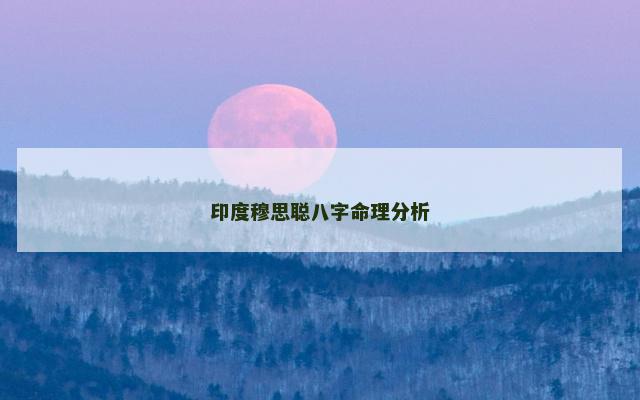 印度穆思聪八字命理分析