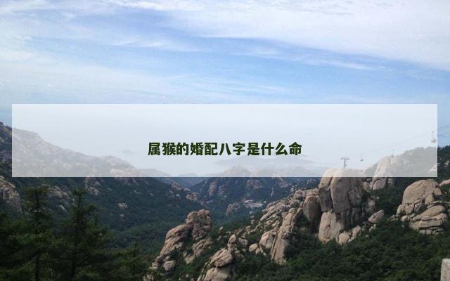 属猴的婚配八字是什么命