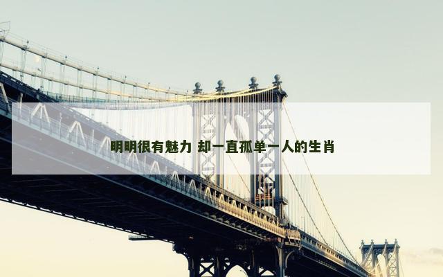 明明很有魅力 却一直孤单一人的生肖