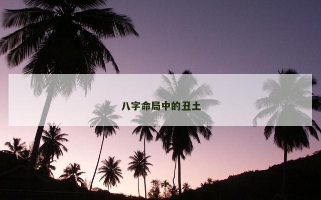 八字命局中的丑土
