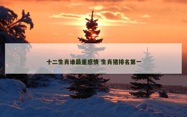 十二生肖谁最重感情 生肖猪排名第一