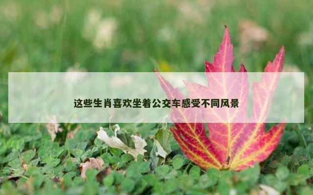 这些生肖喜欢坐着公交车感受不同风景
