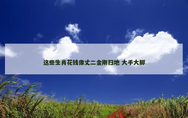 这些生肖花钱像丈二金刚扫地 大手大脚