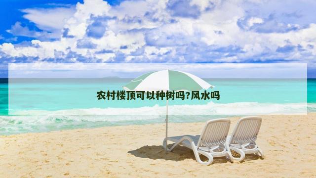 农村楼顶可以种树吗?风水吗