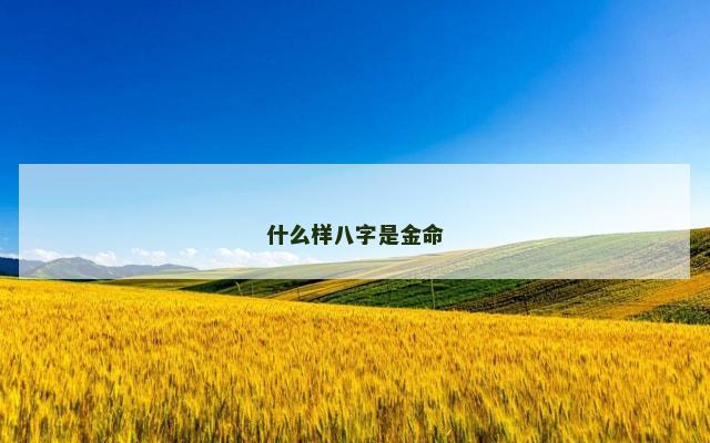 什么样八字是金命