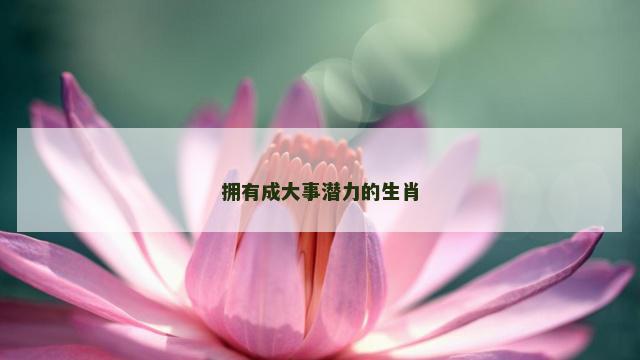 拥有成大事潜力的生肖