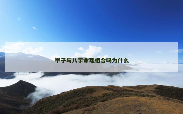 甲子与八字命理相合吗为什么